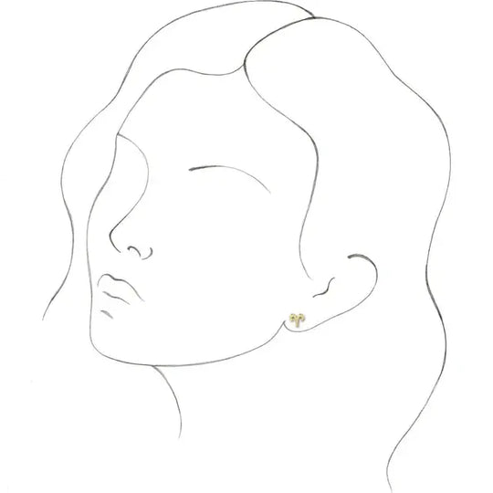 Taurus zodiac earrings gift 14K gold polished discs